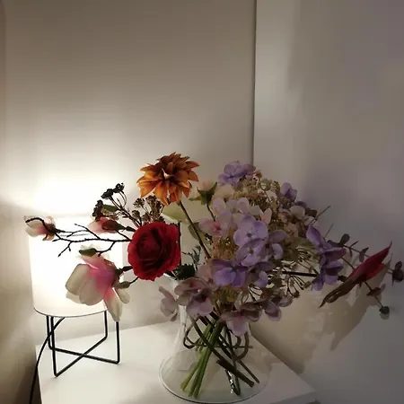 Studio Trimaran Apartment